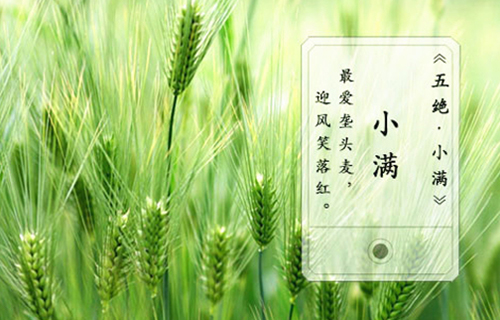 小满节气谈养生——未病先防