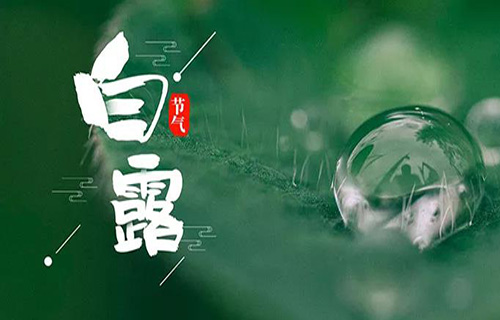 白露节气中医专家告知您养生小攻略