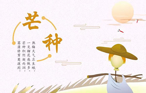 芒种节气，千万别错过这些养生妙招！