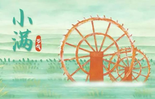 小满节气的养生要点在这！