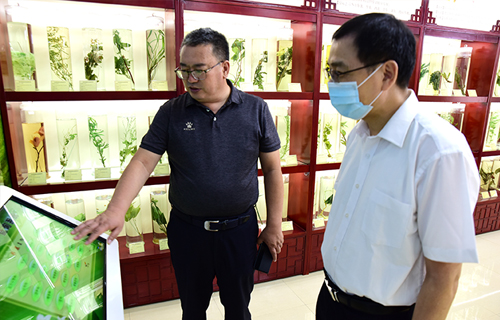 国家中医药管理局监测统计中心主任李宗友一行到德州扑克平台网
进行调研指导