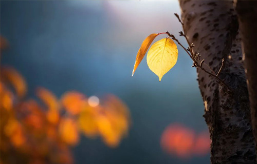 “秋燥”来袭怎么办？中医教你这样做