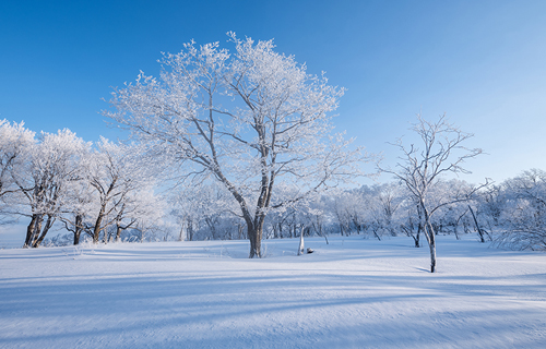 冬季如何提高自身免疫力？